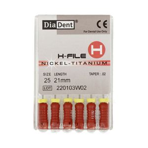 H FILE (NICKEL-TITANIUM) .02/21MM(ISO 15)